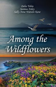 Front cover of new self-published book Among the Wildflowers